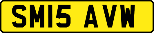 SM15AVW