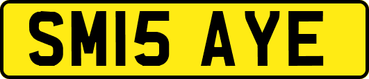 SM15AYE
