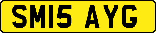 SM15AYG