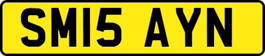 SM15AYN