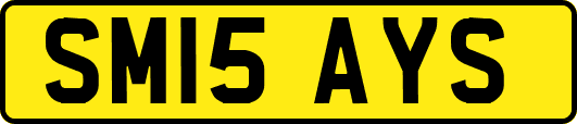 SM15AYS