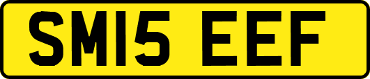 SM15EEF