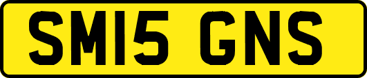 SM15GNS
