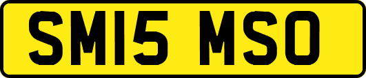 SM15MSO