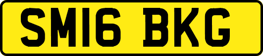 SM16BKG