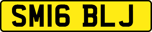 SM16BLJ