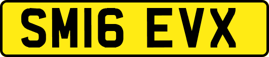 SM16EVX