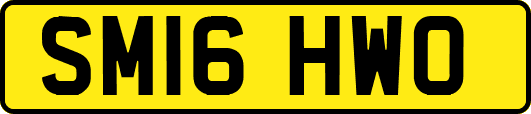 SM16HWO