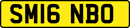 SM16NBO