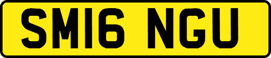 SM16NGU