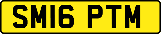 SM16PTM