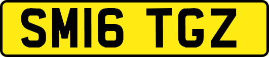 SM16TGZ