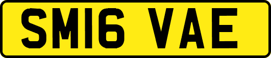 SM16VAE