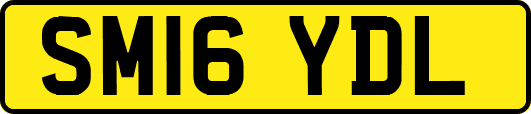 SM16YDL