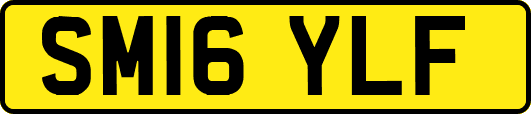 SM16YLF