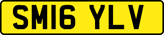 SM16YLV