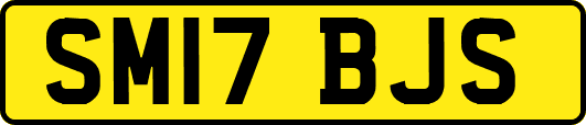 SM17BJS