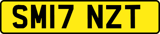 SM17NZT