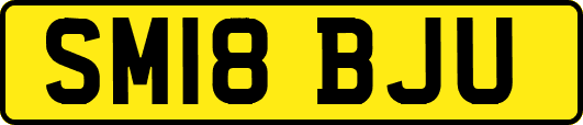 SM18BJU