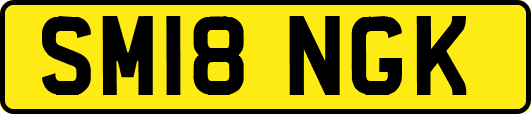 SM18NGK