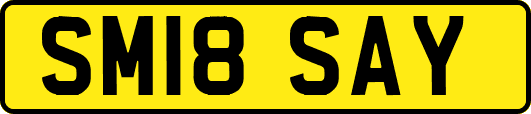 SM18SAY
