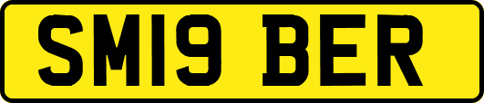 SM19BER