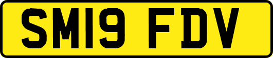 SM19FDV
