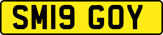 SM19GOY