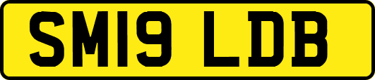 SM19LDB