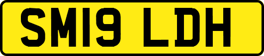 SM19LDH