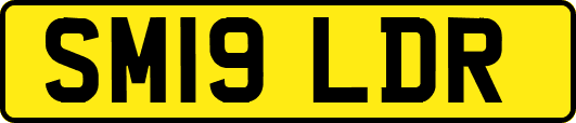 SM19LDR