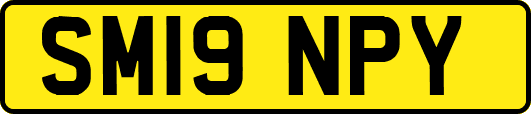 SM19NPY