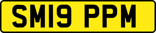 SM19PPM