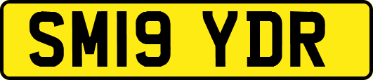 SM19YDR