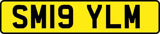 SM19YLM