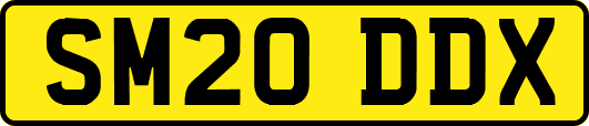 SM20DDX