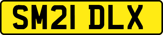 SM21DLX