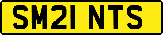 SM21NTS
