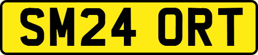 SM24ORT