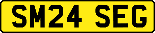 SM24SEG