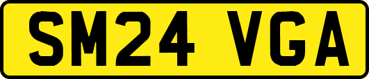 SM24VGA