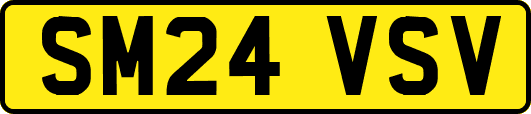 SM24VSV