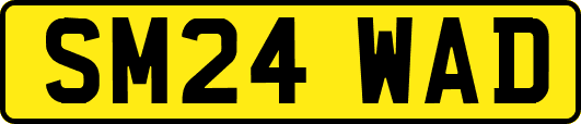 SM24WAD