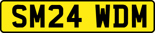 SM24WDM