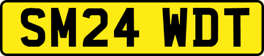 SM24WDT