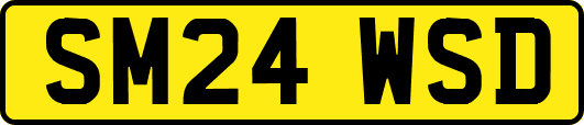 SM24WSD