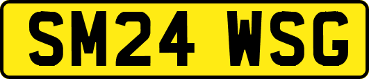 SM24WSG