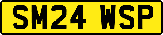 SM24WSP