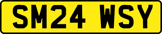 SM24WSY