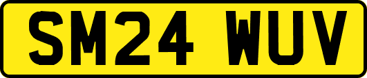 SM24WUV